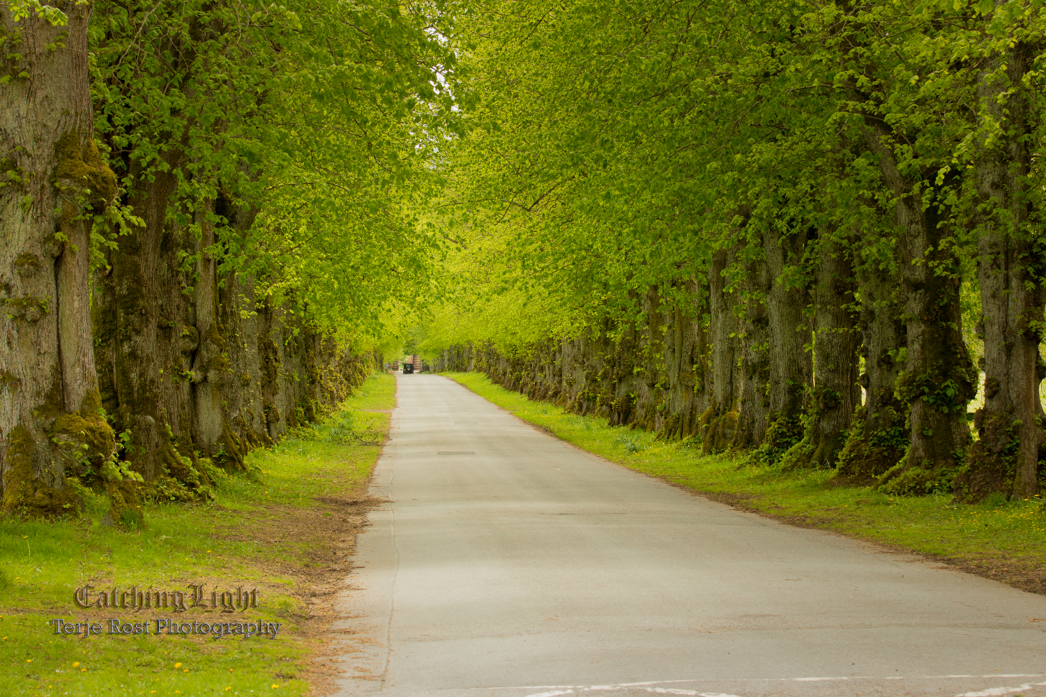 Blair Atholl